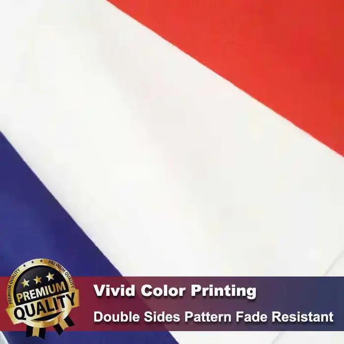Lot de 10 drapeaux français 14x21cm avec bâtons pour agiter à la main décoration pour la Coupe du Monde de football la Fête nationale les défilés sportifs