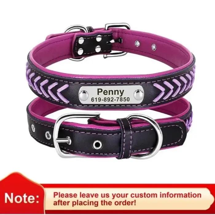 Collier de chien personnalisé avec étiquette gravée