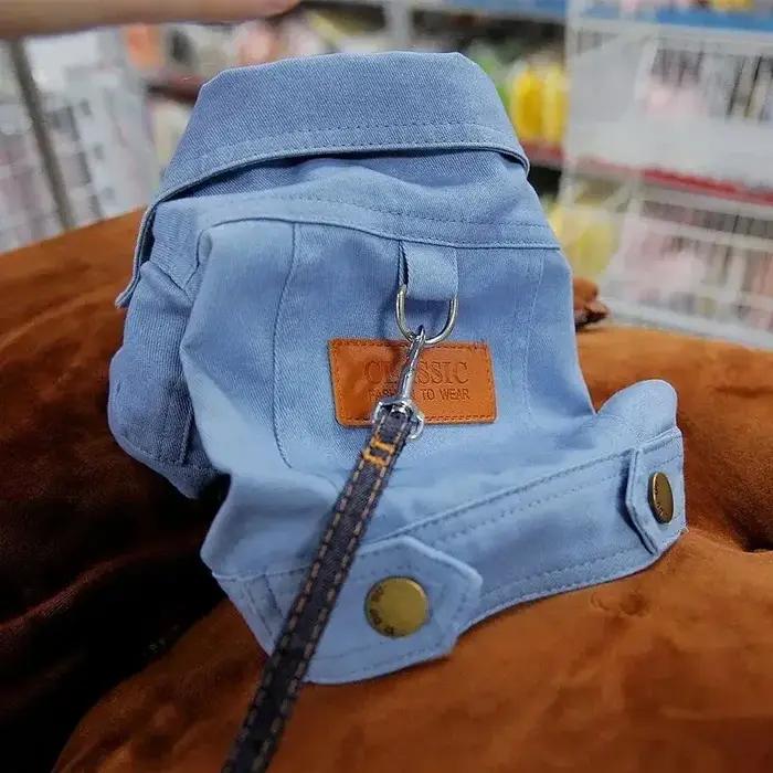 Robe pour chien élégante pour petites races comme teckels, chiots et Corgis, vêtement de chien pour tous les jours et événements spéciaux