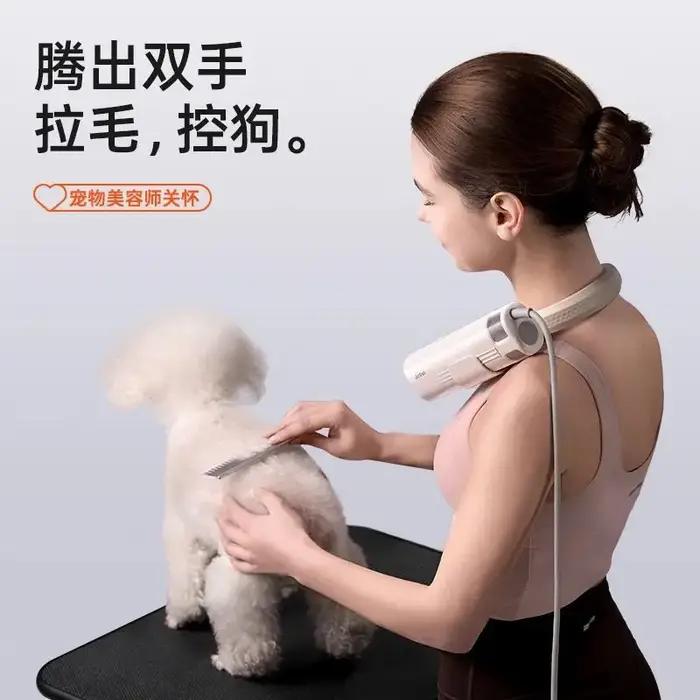 Sèche-cheveux portatif pour animaux de compagnie artefact de séchage rapide sortie d'air haute vitesse pour chien chat toilettage coiffage routine de soins animal de compagnie occassions spéciales