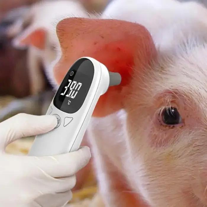 Thermomètres pour animaux de compagnie pour chiens