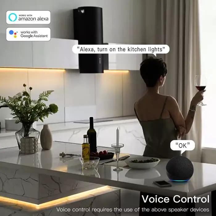Contrôleur Led RGB pour maison intelligente, pour contrôleur de bande LED Tuya, commutateur Wifi pou