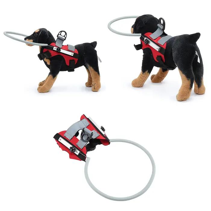 Collier anti-collision aveugle pour animaux de compagnie, guide de chien, aides au comportement d'en