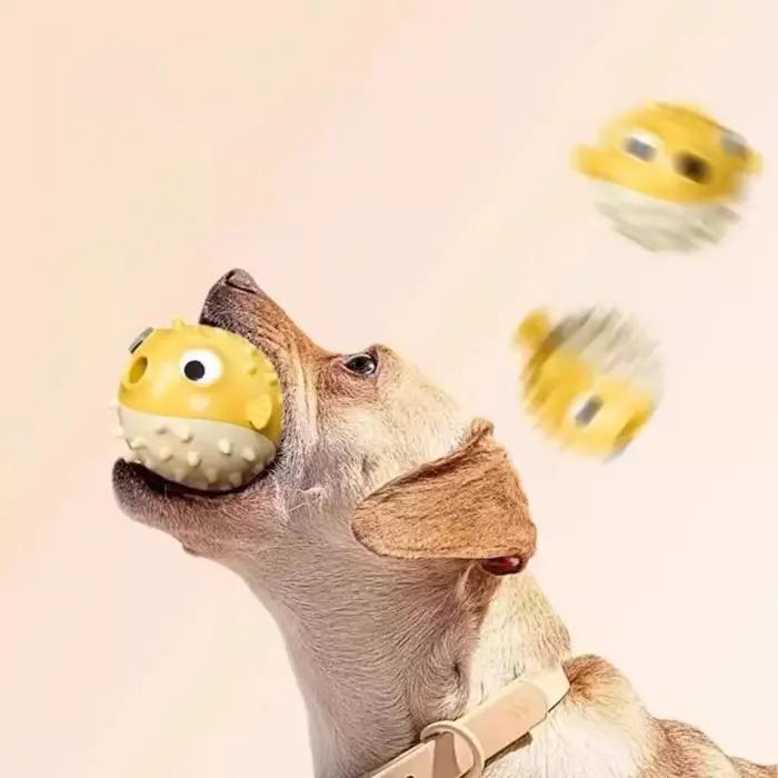 Jouet en forme de poisson-bouffant résistant aux morsures et distributeur de friandises pour la santé dentaire pour Corgi Poodle Golden Retriever chiens occasions spéciales sorties jeuxextérieur