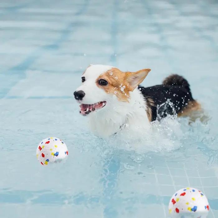 Balle indestructible EPTU pour chien : jouet de récupération rebondissant extrêmement résistant à la mastication pour