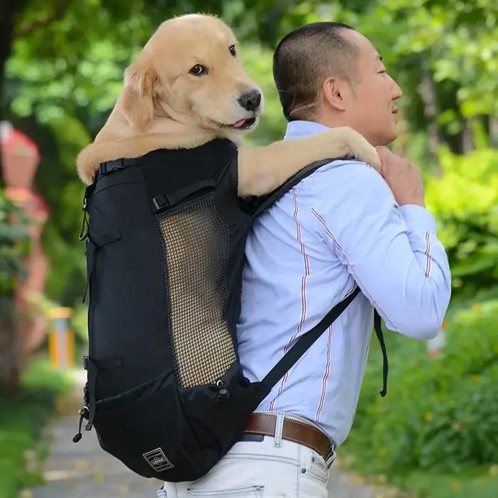 Sac de transport respirant pour chien de grande race pour randonnées cyclistes et voyages en plein air adaptable à toutes les saisons et parfait pour les grandes races comme le Golden Retriever ou le Bulldog