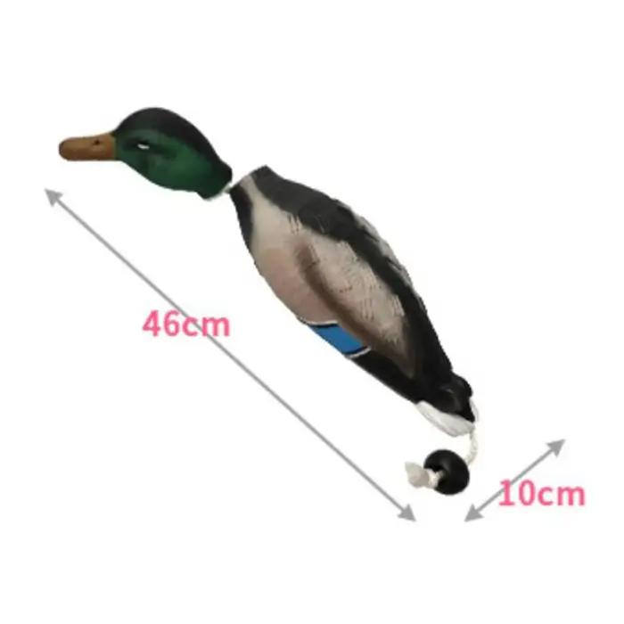 Leurre de Canard Colvert 3D Réaliste pour Chasse, Entraînement de Chiens, Randonnée et Décoration Jardin
