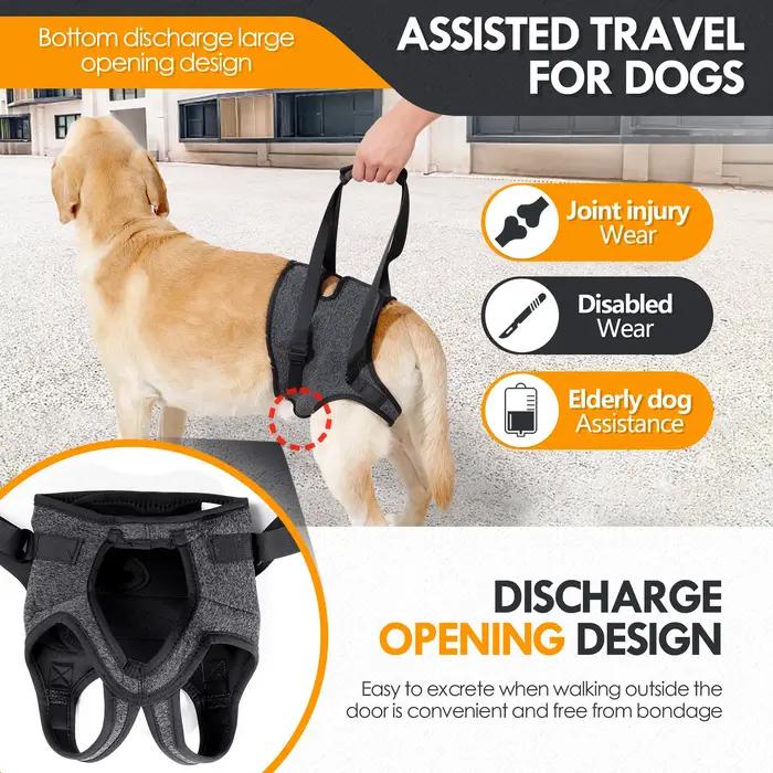 Écharpe pour chien pour grands chiens