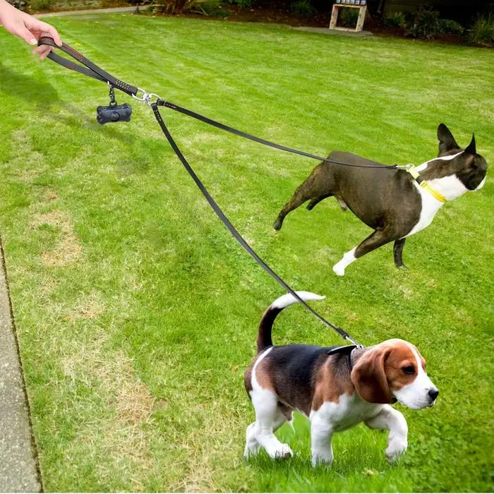 Laisse double en cuir pour animaux de compagnie
