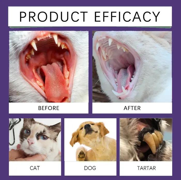 Spray buccal pour chien soin bucco-dentaire haleine fraiche gencives saines usage facile occasions quotidiennes visites vétérinaires