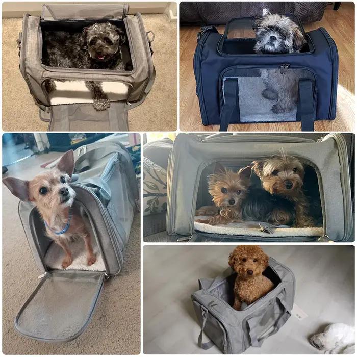 Sac de Transport pour chiens