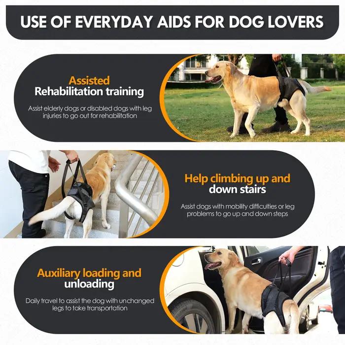 Écharpe pour chien pour grands chiens