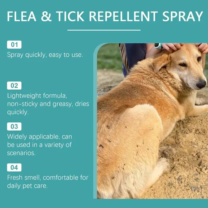 YEGBONG 50ML Spray anti-puces pour animaux de compagnie pour chiens chats utilisation quotidienne sûre répulsif nettoyant Anti formule approuvée vétérinaire externe