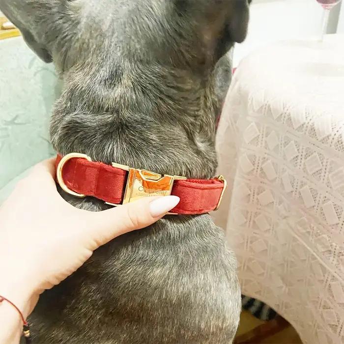 Collier en velours pour chien