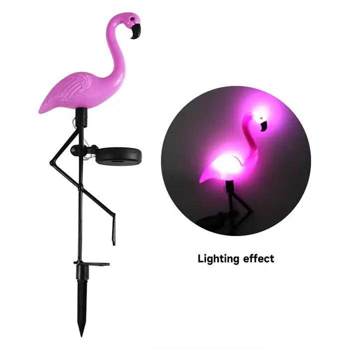 Lumière solaire de flamant rose