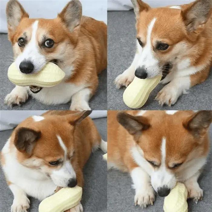 Jouet à mâcher pour chien