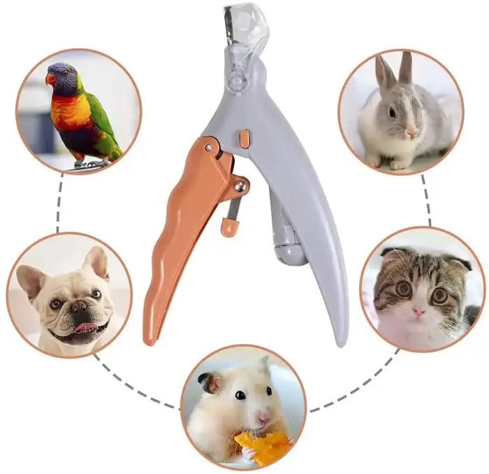 Ciseaux professionnels pour coupe-ongles pour animaux de compagnie