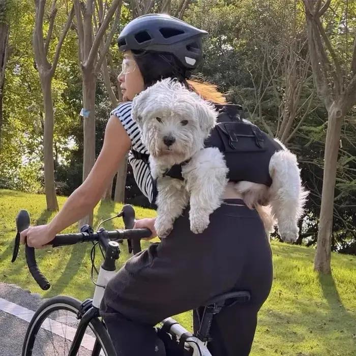 Sac à main à bandoulière Bapa Portable pour chien
