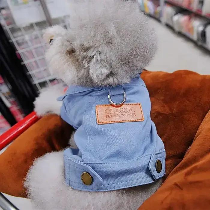 Robe pour chien élégante pour petites races comme teckels, chiots et Corgis, vêtement de chien pour tous les jours et événements spéciaux
