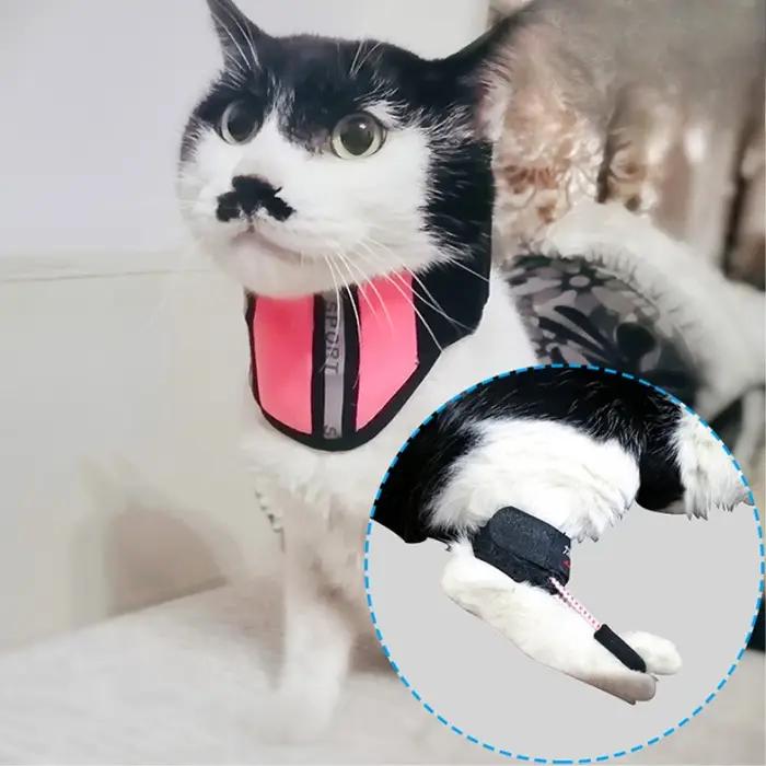 Support de jambe arrière pour chien handicapé