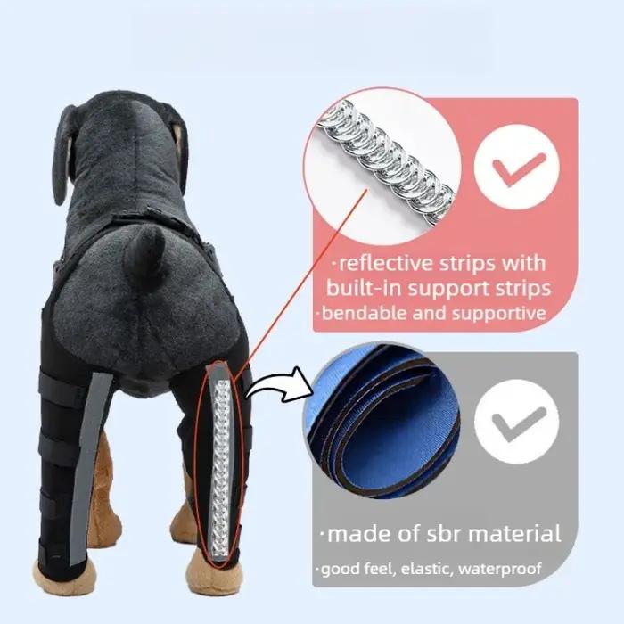 Attelle de soutien pour pattes arrière de chien âgé – Aide à la marche