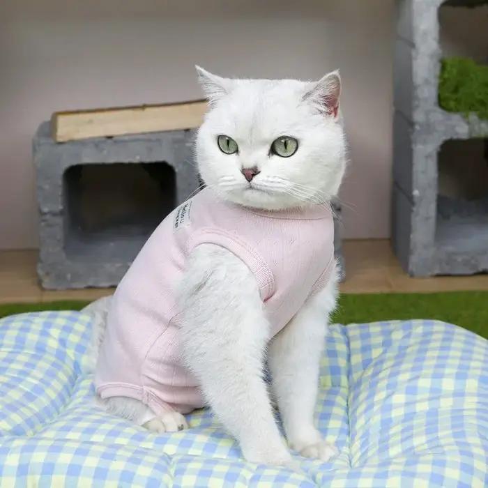 Combinaison post-opératoire respirante pour chiennes et chattes anti-léchage convalescence animaux de compagnie vêtements pour chiennes et chattes matériaux polyester styles chemises à col ouvert pour chiennes et chattes occasions spéciales convalescence post-opératoires