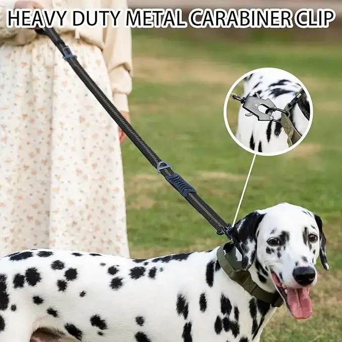Laisse réfléchissante robuste pour chiens de grande taille élastique avec système de bungee sans traction pour promenades nocturnes et sécurisées