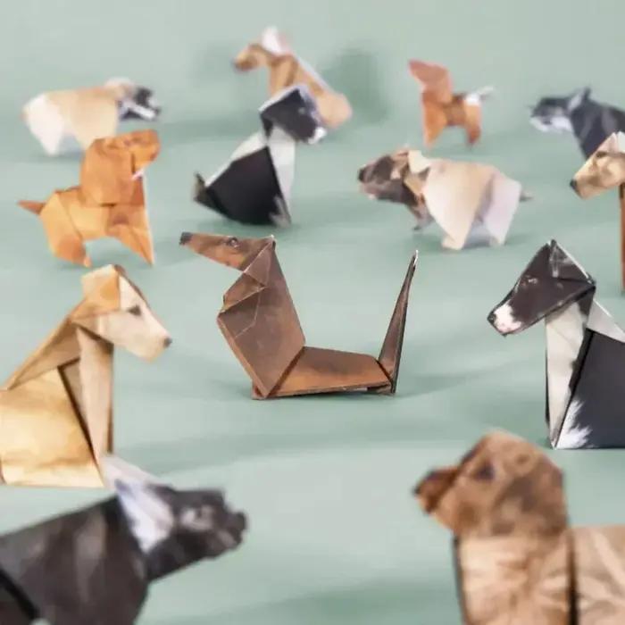 50 pièces créatif bricolage Origami papier chats chiens dinosaure à la main Art artisanat