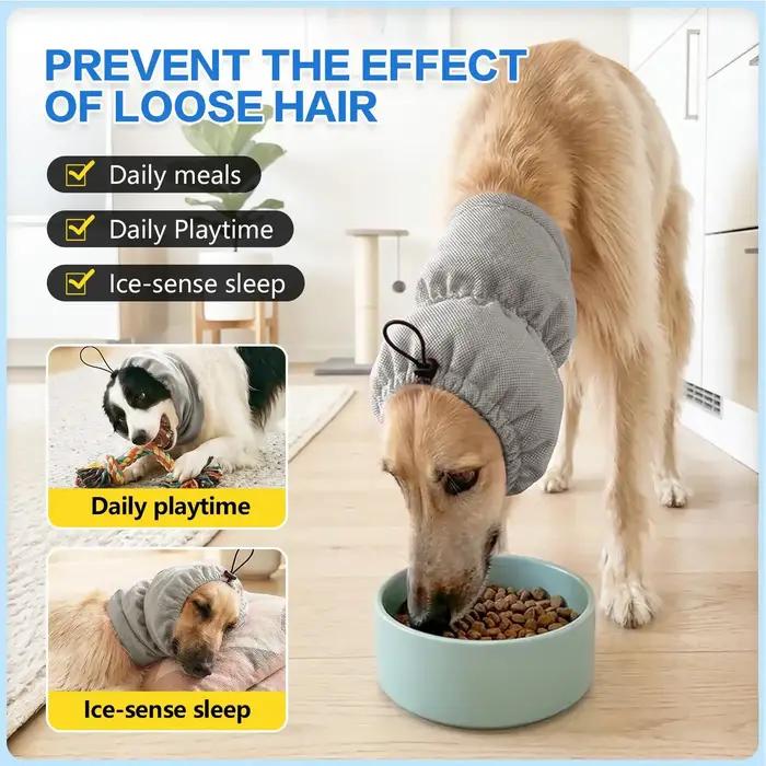 Bandeau Rafraîchissant pour Chien – Réglable