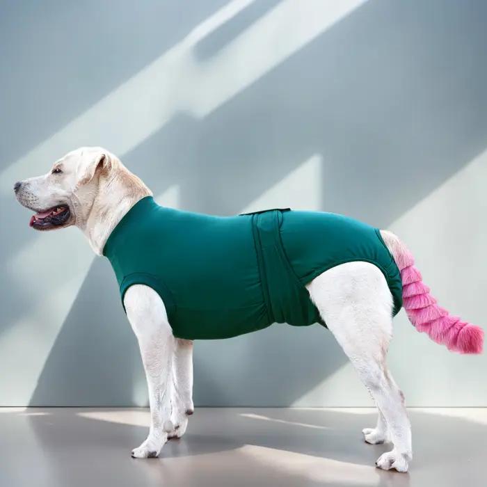 Combinaison de récupération post-opératoire pour chien, taille moyenne à grande, anti-léchage, prote