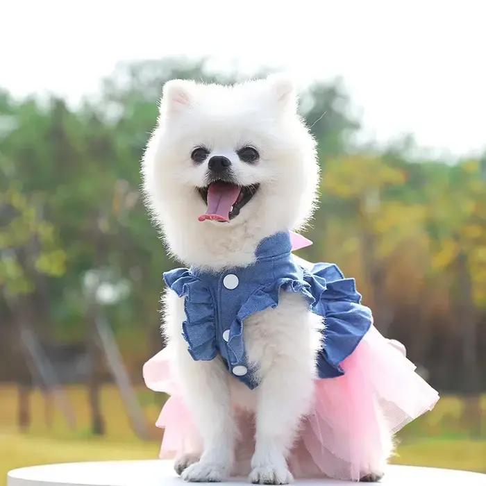 Robe en jean pour petits chiens