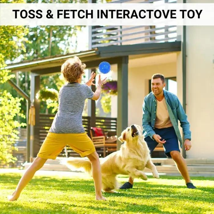 Petite balle de massage transparente à picots pour chien, jouet couineur pour animaux de compagnie, durable, pour le soin des dents, réduction du stress, divertissement quotidien.