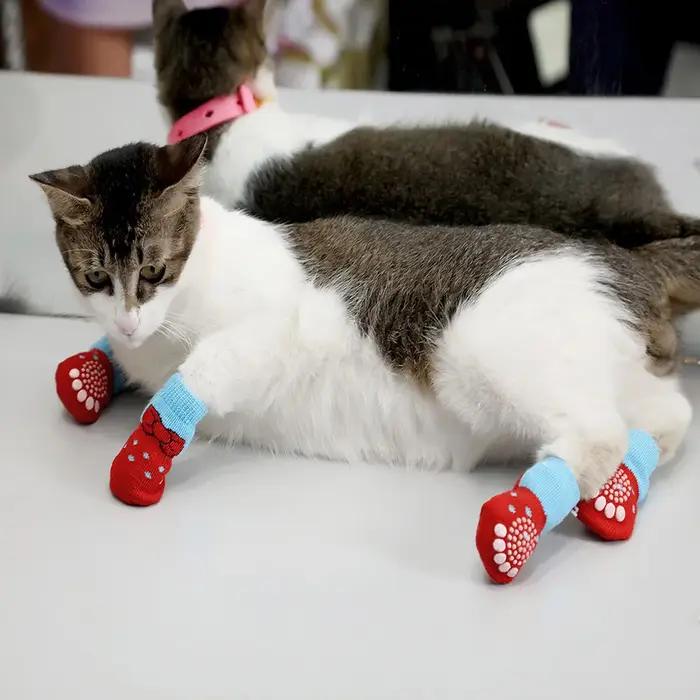 Chaussettes antidérapantes en mélange de coton pour chiens protection des pattes traction contrôle plancher en bois dur occasions spéciales chiens petits moyens animaux de compagnie