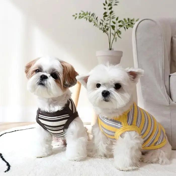 Chemise en coton côtelé pour chien