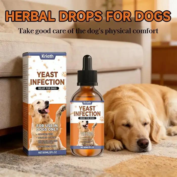 Gouttes à base de canneberge et échinacée pour soutenir l'immunité et calmer les démangeaisons chez le chien pour sa santé saisonnière