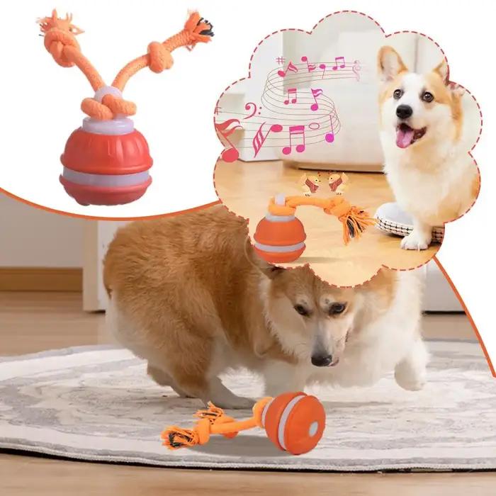 Jouets interactifs pour chiens, balle à activation par mouvement, balle roulante pour chiots/petits chiens, jouet à mouvement automatique, jouet rechargeable par USB