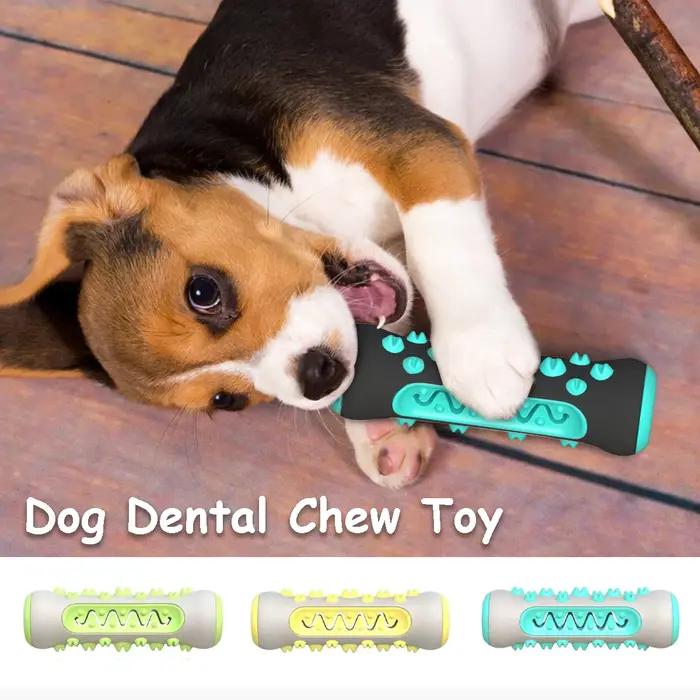Jouets à mâcher dentaires pour chiens pour le nettoyage des dents