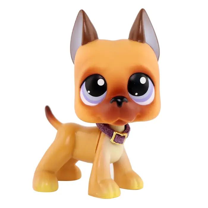 Jolis jouets plus de choix, chat à poils courts, teckel, chien, loup, renard, Collie, avec accessoir