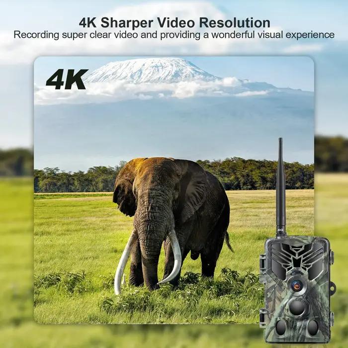 Caméra vidéo en direct 4K, service cloud, caméras de chasse quelque part, diffusion multimédia, sans fil, vision nocturne 30MP, HC810PRO