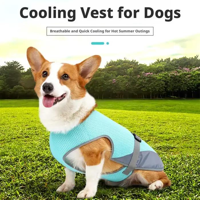 Gilet rafraîchissant pour chien pour l'été, avec protection contre la chaleur et protection solaire respirante, gilet rafraîchissant pour chien pour l'extérieur