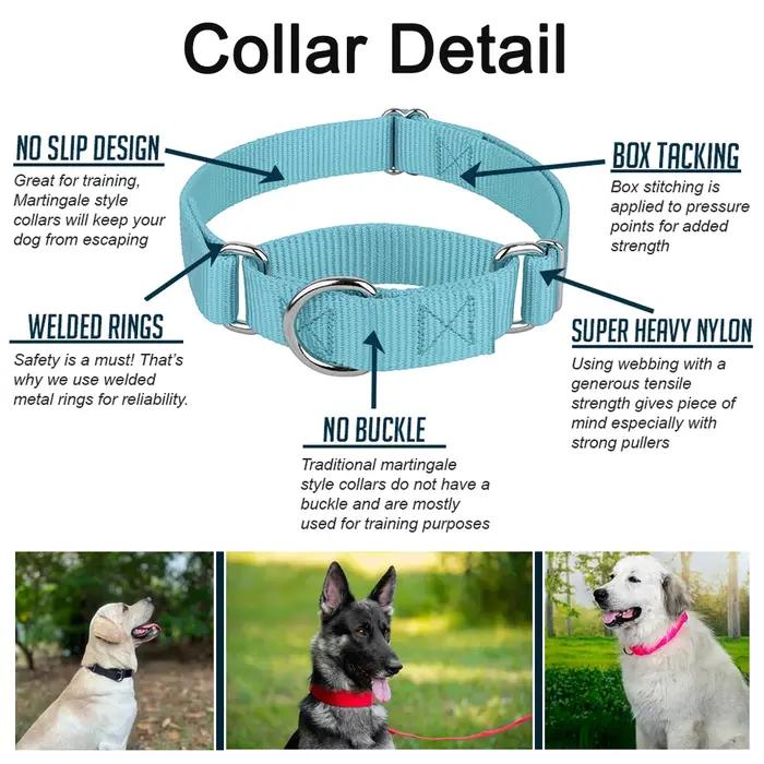 Collier Martingale en Nylon Personnalisé pour Chiens de Toutes Races et Tailles Occasions Extérieures et Contrôle Optimal