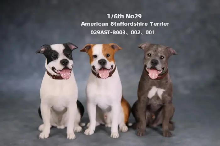JXK Studio 1:6 Figurine de chien American Staffordshire Terrier