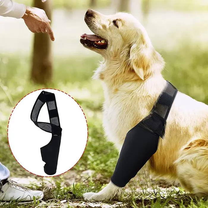 Genouillères de soutien pour chiens de récupération post-opératoire, protection articulaire et maintien du confort pour chiens de différentes races et tailles