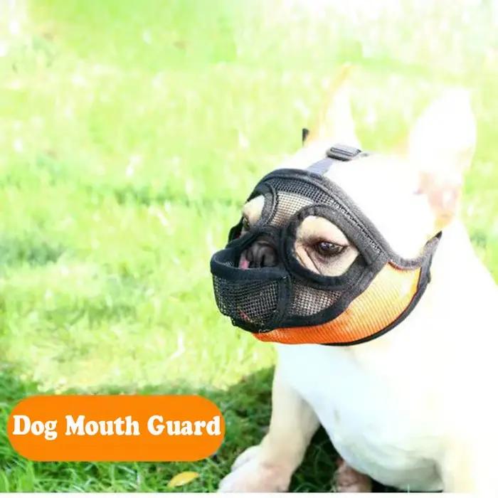 Bulldog muselière français Dou Ying Dou chien de compagnie muselière bouche courte chien Anti-morsure Anti-alimentation masque