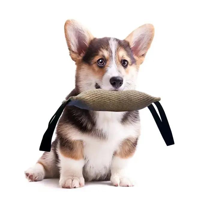 Bâton de morsure de chanvre pour chien