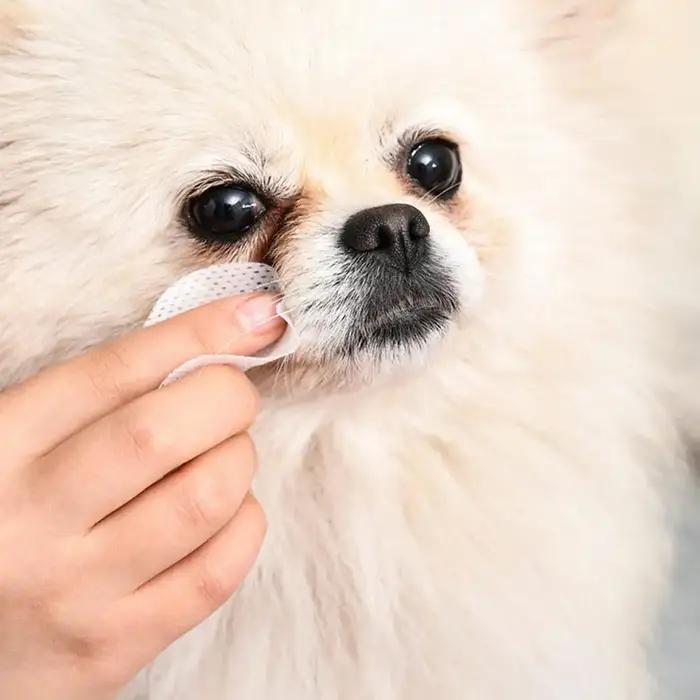 Lingettes anti-déchirures pour animaux de compagnie