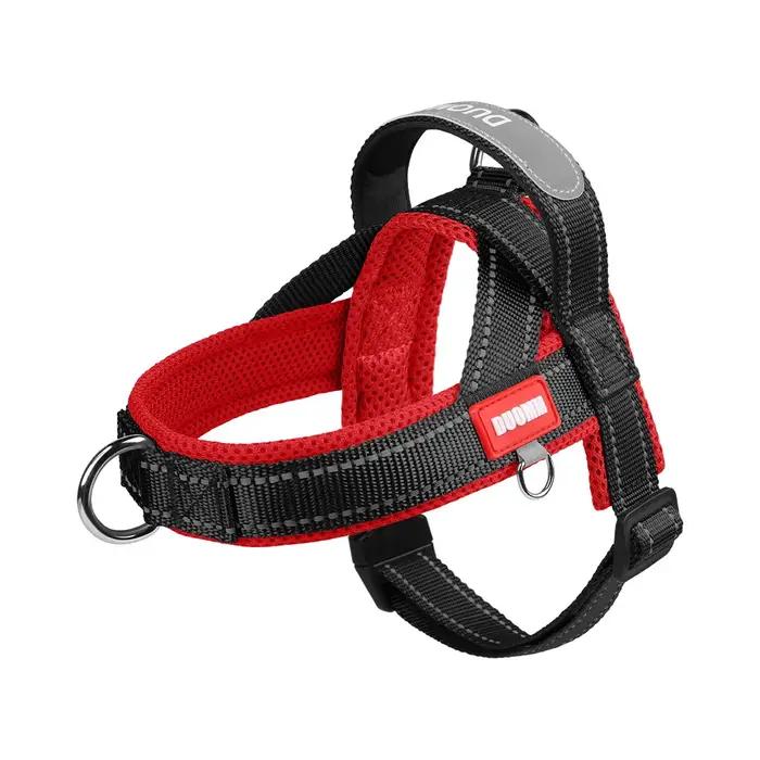 Harnais de selle pour animaux de compagnie, harnais réfléchissant anti-explosion pour chiot, laisse pour chien d'extérieur, laisse pour chien de couleur assortie, collier pour chien