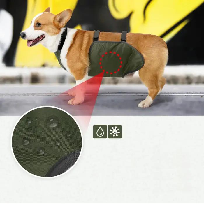 Protecteur de ventre de grand chien