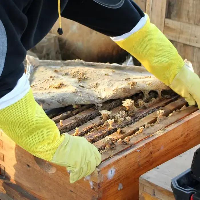 1 paire de gants pour apiculture