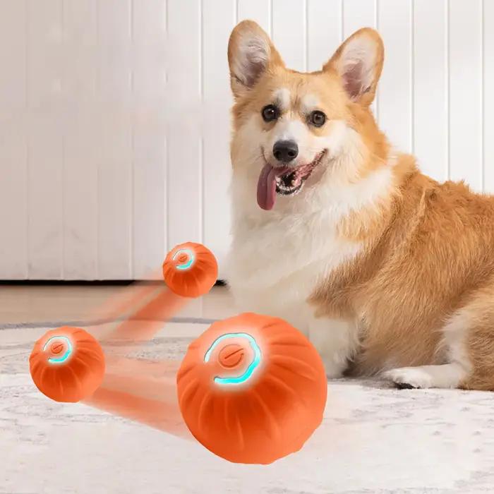 1 balle pour chien, balle rebondissante automatique pour chiens